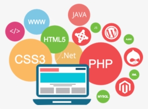 Why Choose Us - Custom Web Development #303962