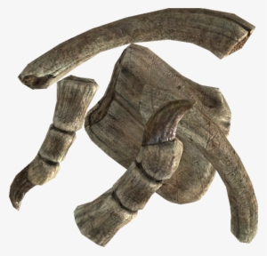Tesv Dragon Bone - Драконья Кость #303984