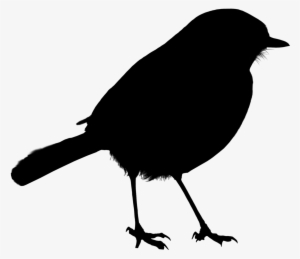 Bird Silhouette Png - Bird #303985