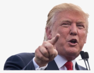 Donald Trump Domain Names For Sale - Politician Toilet Bowl Aiming Stickers Democrat Republican #304089