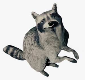 Wiki #305126