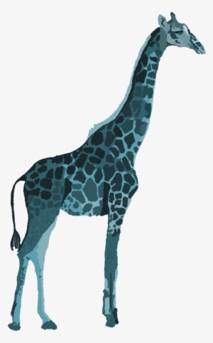 Giraffe #305130 Giraffe #305130