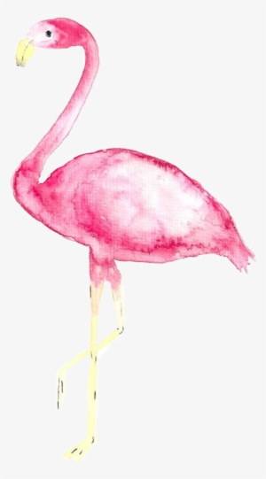 Report Abuse - Iphone Se Wallpaper Pastel Flamingo Real #305220