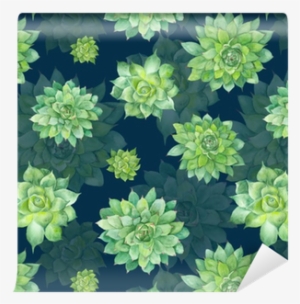 Watercolor Succulent Pattern On Blue Background Wallpaper #305390 Watercolor Succulent Pattern On Blue Background Wallpaper #305390
