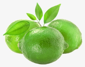 Learn More About Pemberton Limes - Lime #305435