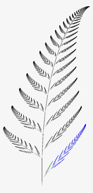 Barnsley Fern Funktion4 - Sketch #306114