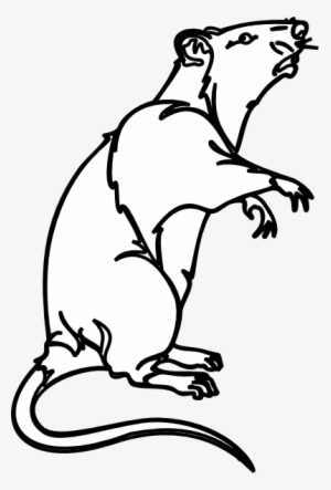 Rat Svg Clip Arts 402 X 594 Px #306666