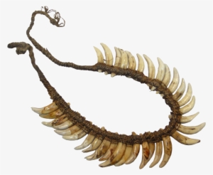 Indonesia/papua New Guinea, Necklace Of Dog Teeth - Bride #306929