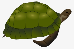 Turtle Svg Clip Arts 600 X 405 Px #307532