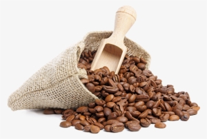 Coffee Beans Png Photo - Coffee In The Gym #308092