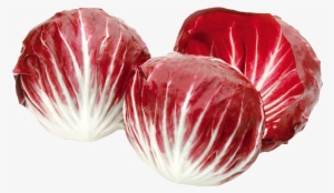 Radicchio Red Salad Png Image - Red Radicchio #308270