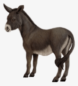 Free Png Donkey Png Images Transparent - Осел Png #308341