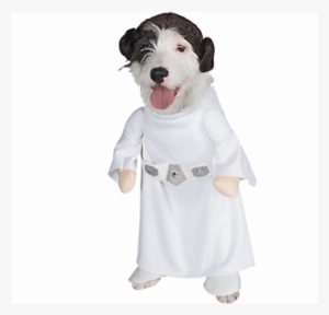 Princess Leia - Halloween Costumes For Dogs 2018 #309193