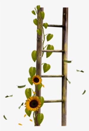 Sunflower Ladder - Echelle Png #309198