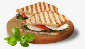 Grilled Sandwich Png - Panini #309219