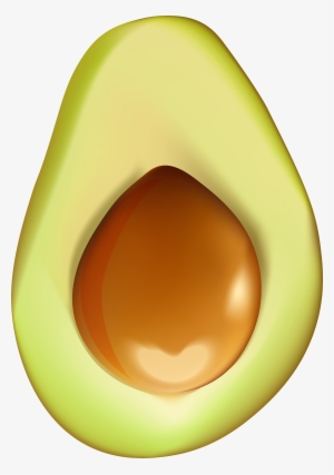 Avocado Png #309241