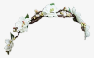 Daisy Flower Crown Transparent - Flower Headband Png Transparent #309267
