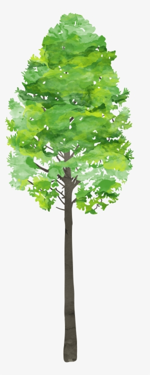 Please Send Campers With Sunhat, Sunscreen And A Packed - Plane #309270 Please Send Campers With Sunhat, Sunscreen And A Packed - Plane #309270