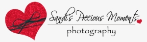 Sandi's Precious Moments Photography - Logo #3000037