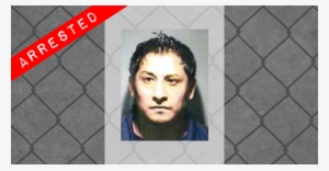 Ice 'most Wanted Fugitive' Captured In New Jersey - Pk Bands (white) - Trick #3000138