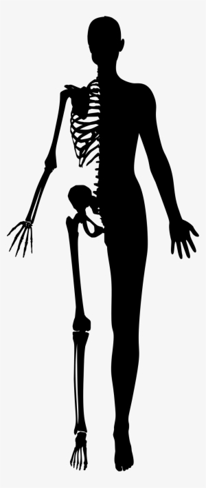This Free Icons Png Design Of Half Woman Half Skeleton #3000828