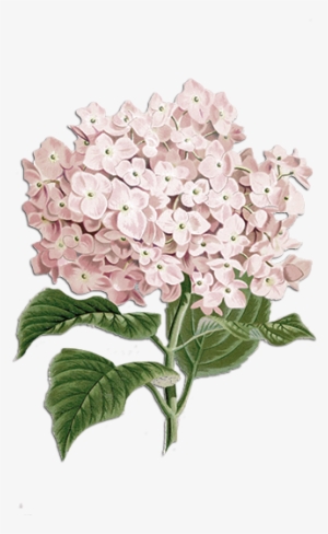 Beautifully Crafted Vintage Shabby Chic Handmade Gifts - Shabby Chic Flowers Png #3001037