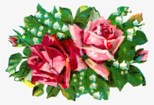 Shabby Chic Rose Image - Pink #3001082