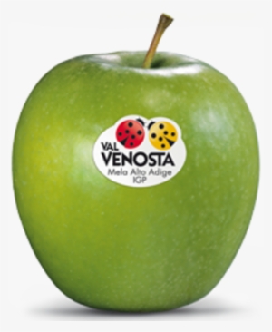 Granny - Granny Smith #3001703