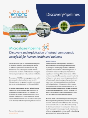 Embric Discovery Pipeline Flyers - Company #3001739