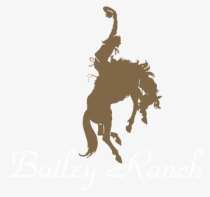 Golf Course - Bailey Ranch Golf Course #3002861