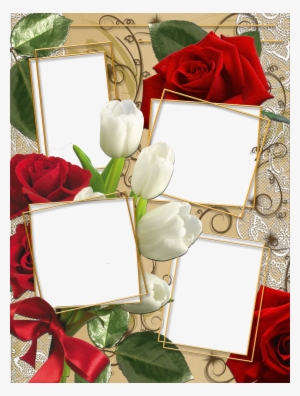 Marco De Flore - Marco Para Varias Fotos Png #3003273