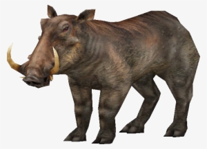 Wild Boar - Carnivores Ice Age Wild Boar #3003352