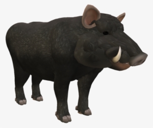 Boar Png Images - Wild Boar No Background #3003444