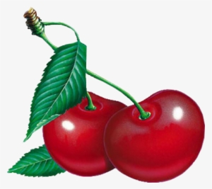 Cherry Clipart Five - Черешня Png #3003445