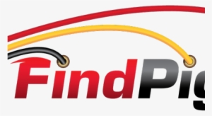 Find Pigtails - Findpigtails #3004672