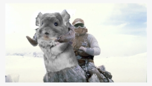 Http - //i - Imgur - Com/p9lvt7y - Star Wars Monstruos #3006118