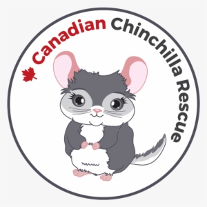 Tanya With All Her Friends From “piggles”, The Guinea - Cartoon #3006120