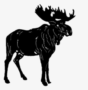 Cowgirl Roping Calf - Lost 42 Pounds #3009168