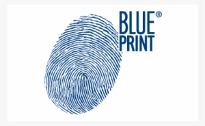 Blue Print - Blue Print Brake Disc, Front Axle Rear Axle Adt343174 #3009725