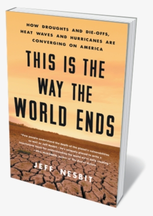 Book Jacket 'this Is The Way The World Ends' #3009877