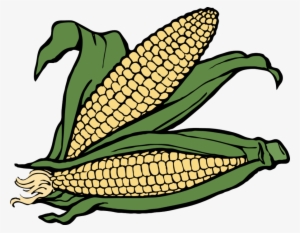 Corn Clipart Maize Clip Art - Corn Clipart #3011023