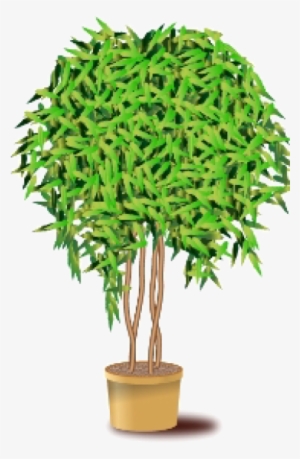 Chloroplast #3011195