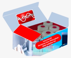 Christmas Fern Chloroplast Dna Isolation Kit - Box #3011427
