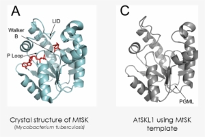 Together, These Results Reinforce Previous Notions - Graphic Design #3011483