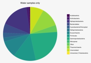 Betadisper And Permutational Anova - Circle #3011576 Betadisper And Permutational Anova - Circle #3011576
