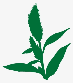 Contact - Illustration #3011702