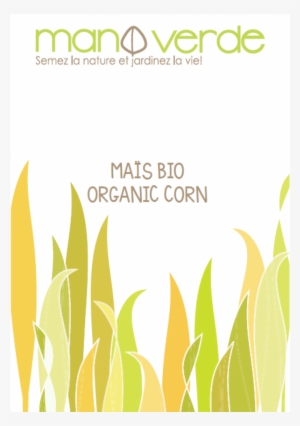 Corn In Bulk 200g - Maize #3011703