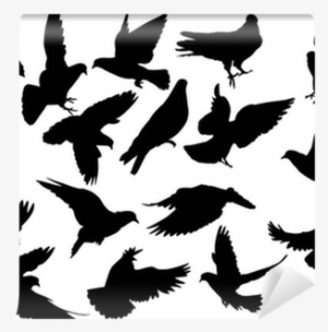 Eighteen Dove Silhouettes Isolated On White Wall Mural - Pigeon Silhouette #3012089