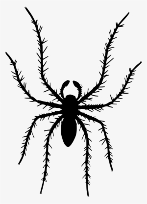 Download Image As A Png - Clip Art #3012206