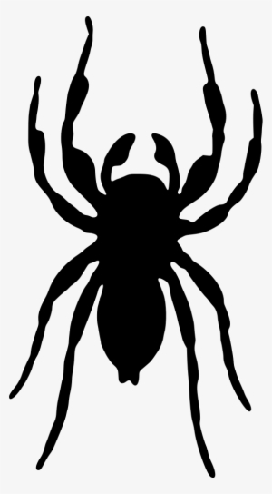 Spider Silhouette #3012255